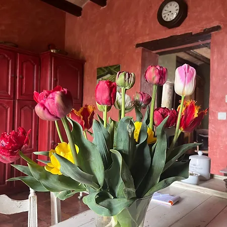 Πανσιόν Maison En Provence Lapalud